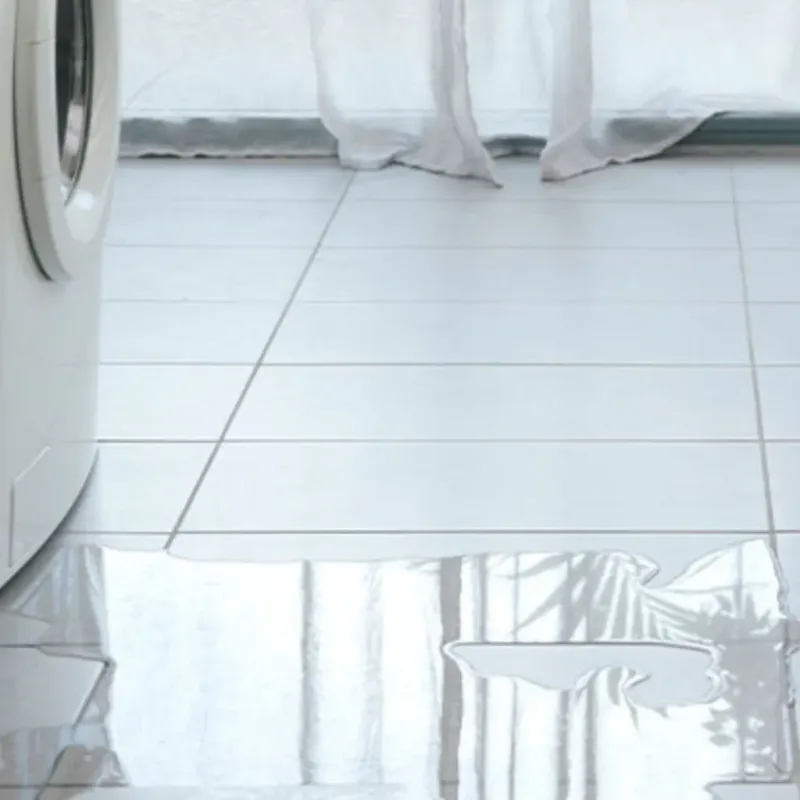 Appliance Leak Cleanup in Clarksville, IN