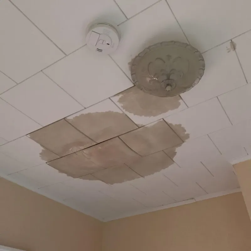 Ceiling Water Damage Repair in Clarksville, IN