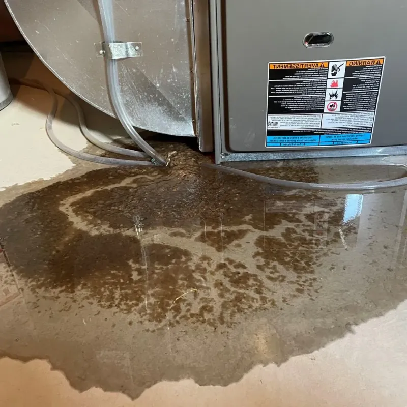Pipe Burst and Leak Restoration in Clarksville, IN
